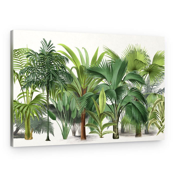Lush Tropical Plants – Canvas Print