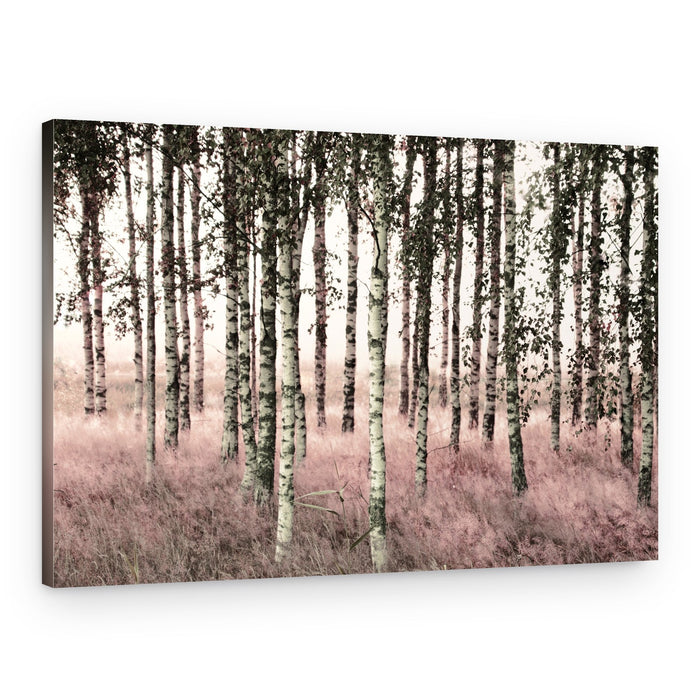 Ethereal Pink Birches – Canvas Print