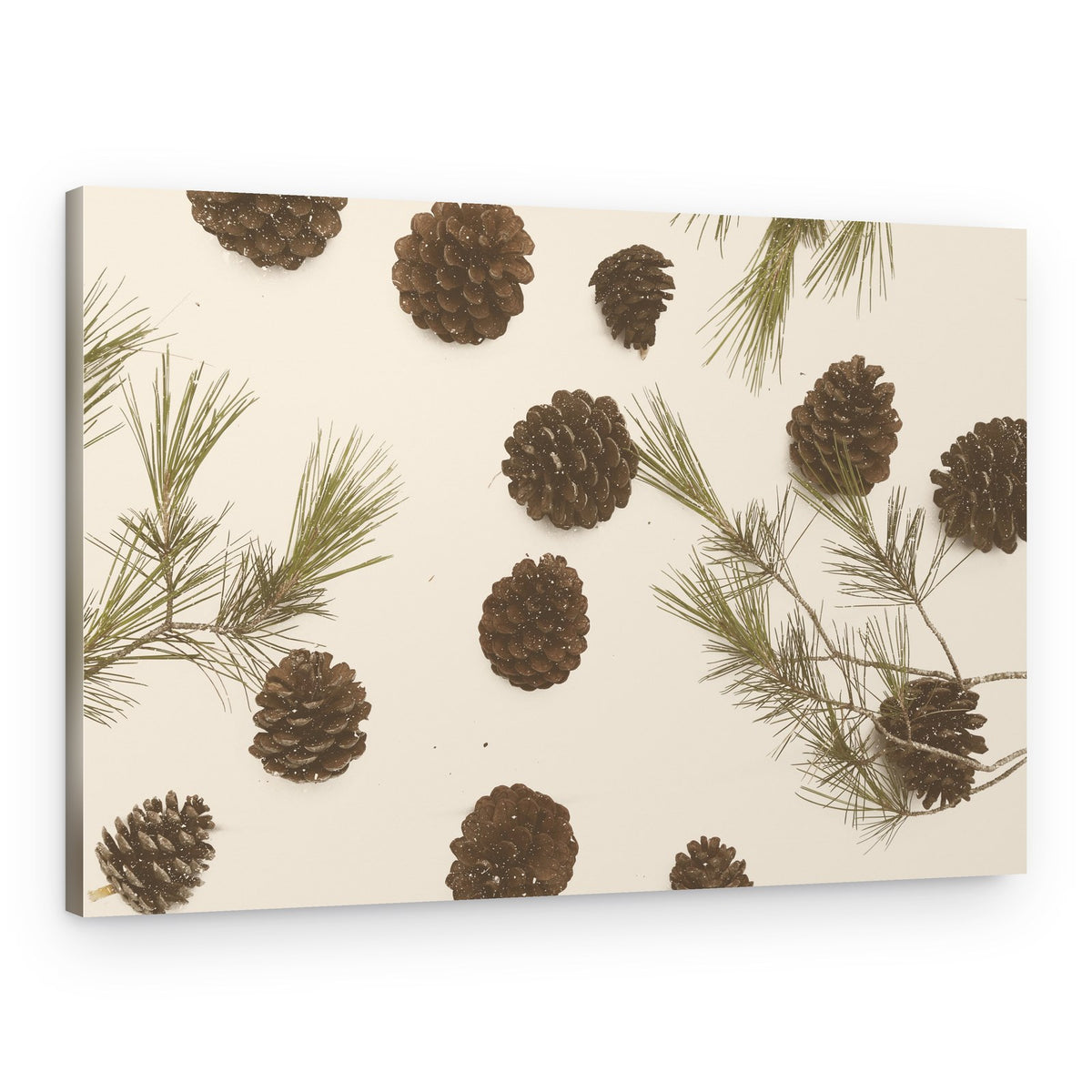 Snowy Pine Cones – Canvas Print
