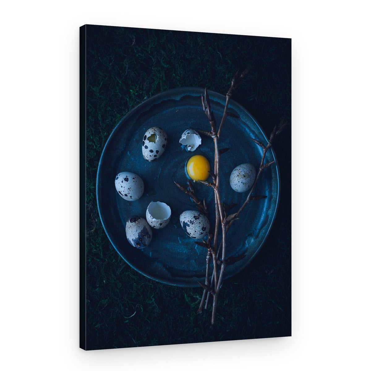 Moody Quail Eggs – Canvas Print