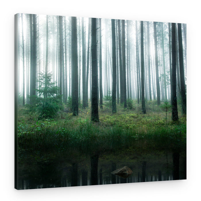 Misty Forest Reflections – Canvas Print