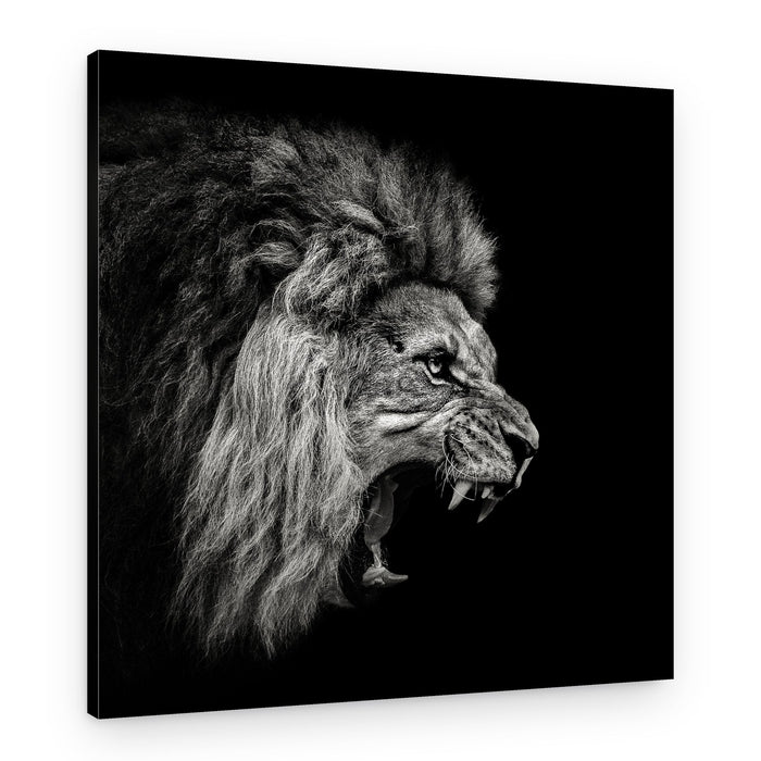 Fierce Roaring Lion – Canvas Print