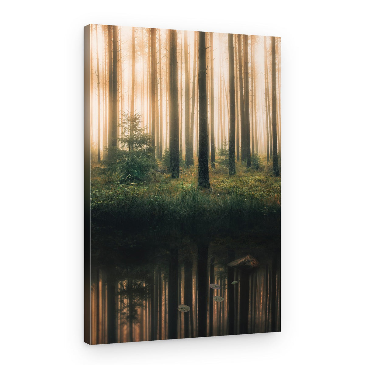 Misty Forest Reflections – Canvas Print