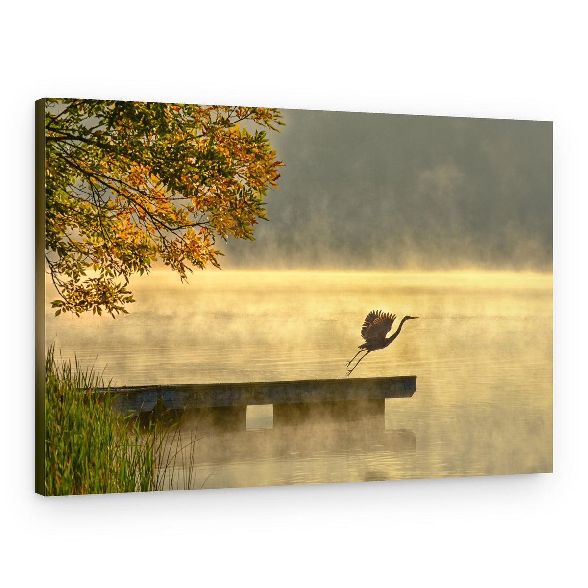 Misty Morning Heron Flight – Canvas Print