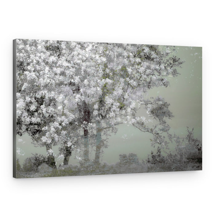 Spring – Canvas Print