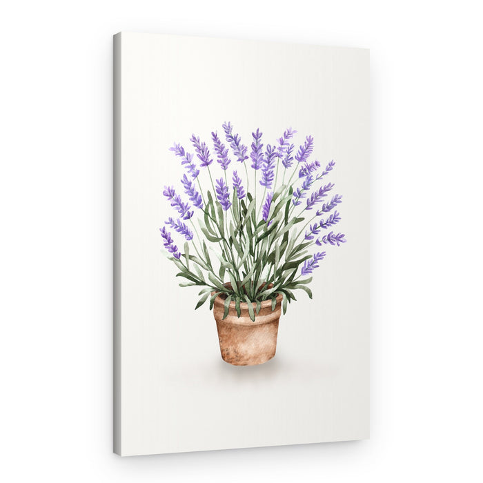 Potted Lavender Watercolor – Canvas Print