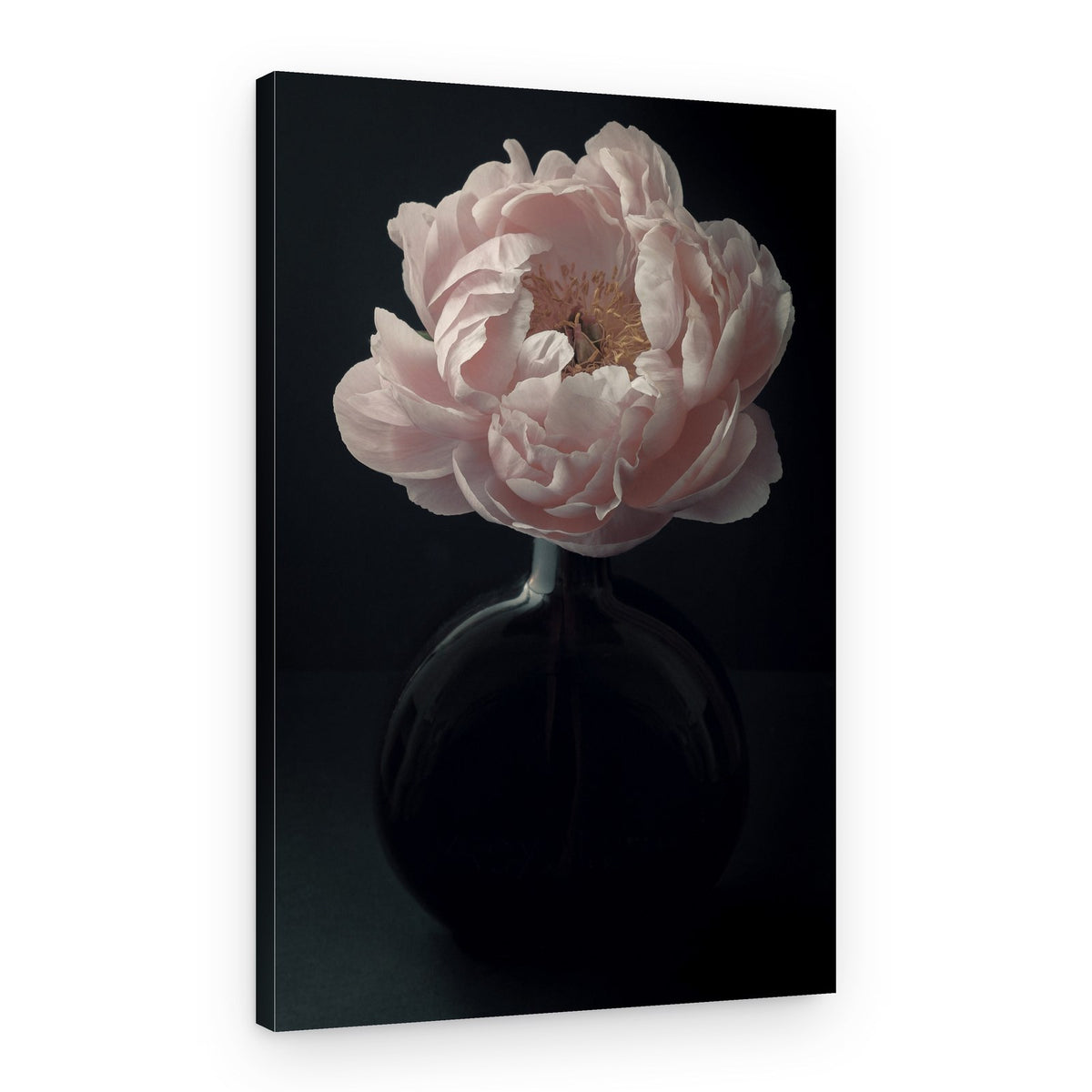 Elegant Pink Peony – Canvas Print