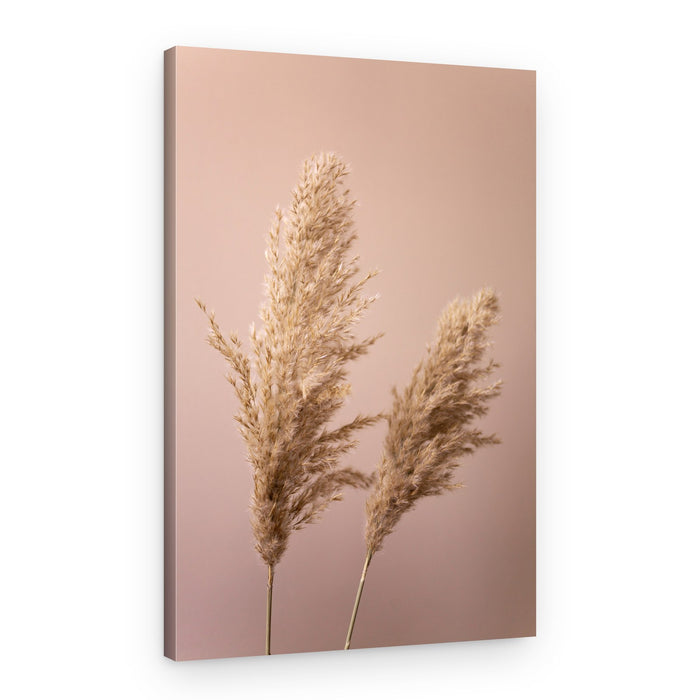 Grass 22 – Canvas Print