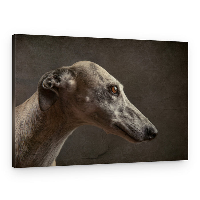 Elegant Sighthound Portrait – Canvas Print