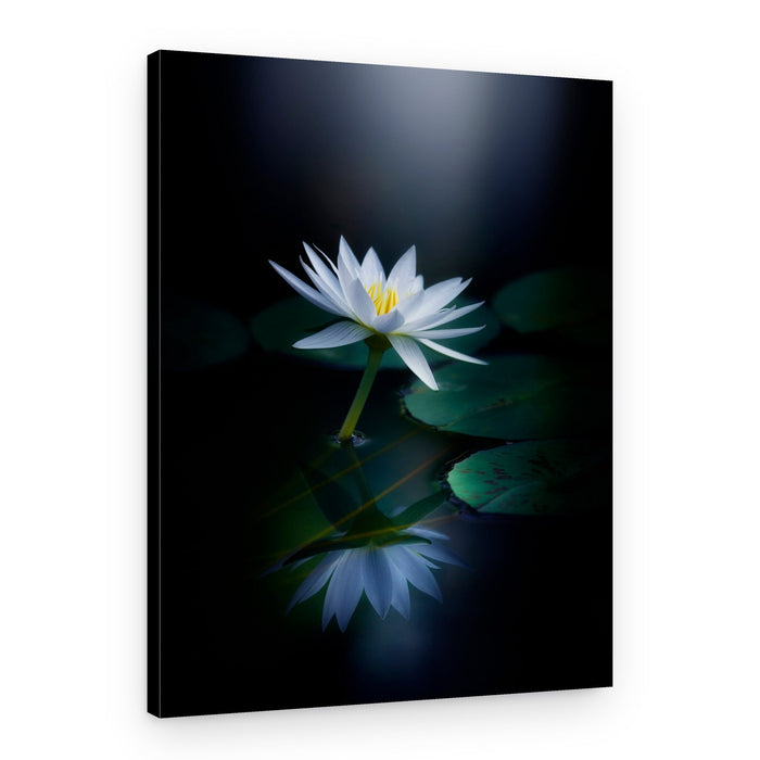 White Lotus Reflection – Canvas Print