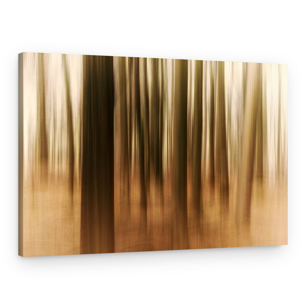Blurred Forest Trees – Canvas Print