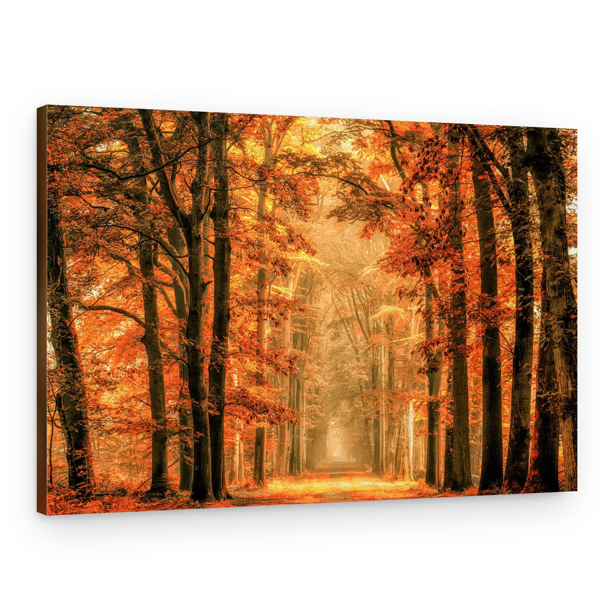 Golden Autumn Forest Path – Canvas Print