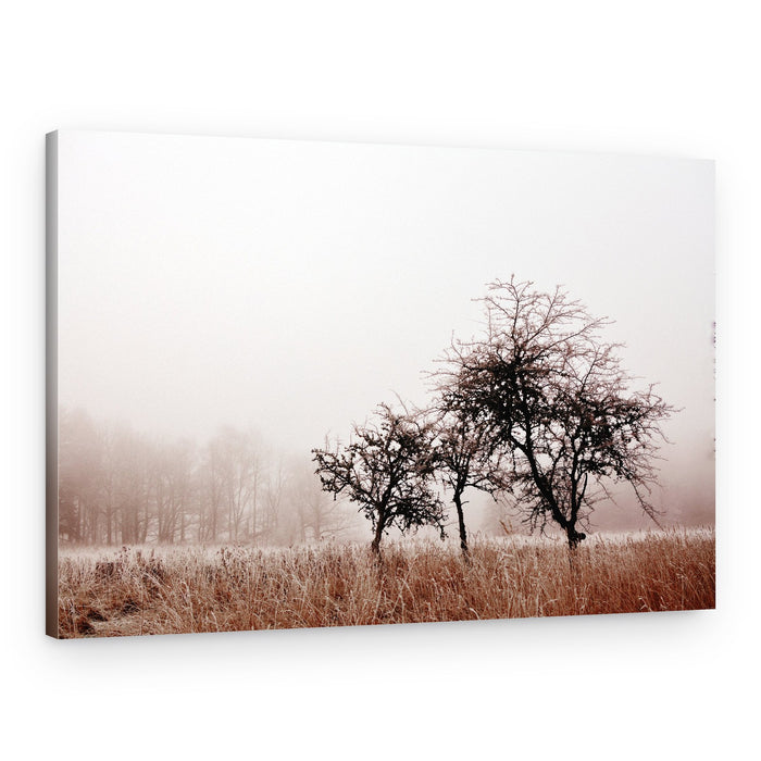 Misty Winter Trees – Canvas Print