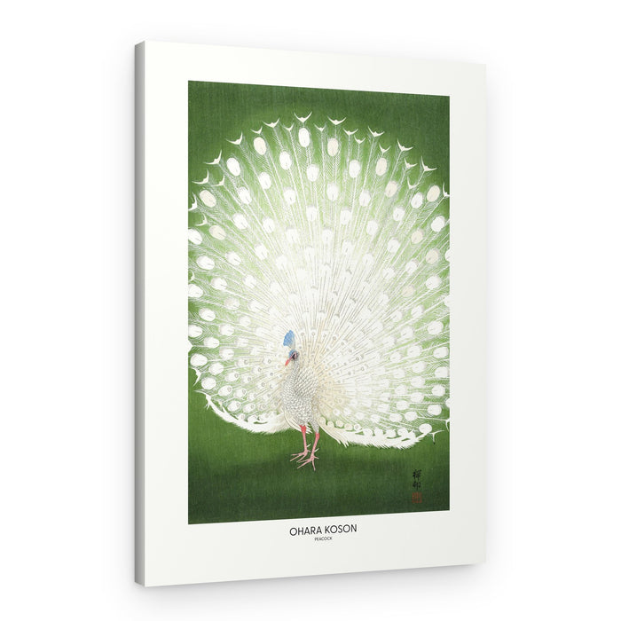 Peacock - Cropped – Canvas Print