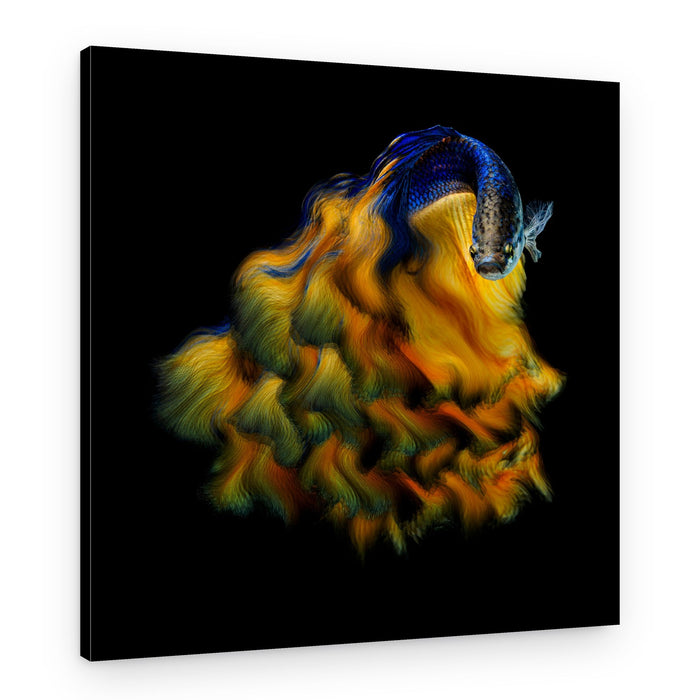 Vibrant Betta Fish Flow – Canvas Print