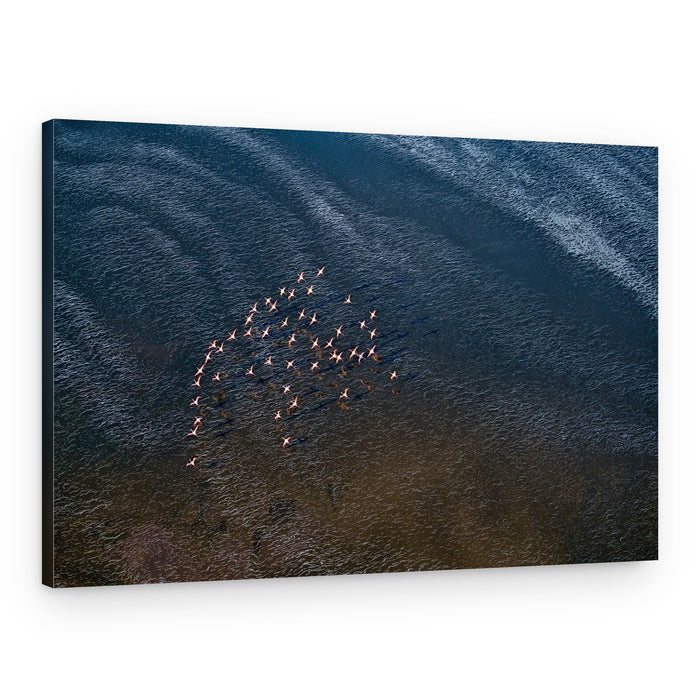 Graceful Flamingo Flight – Canvas Print
