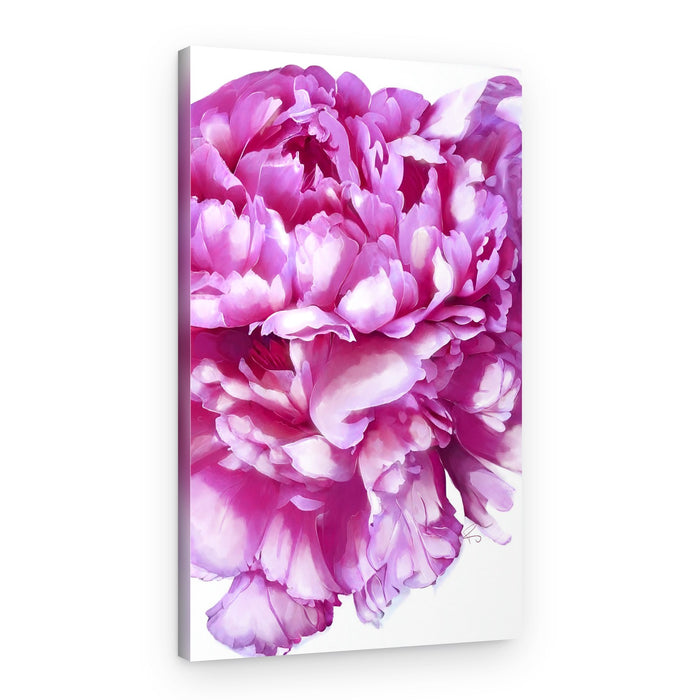 Soft Pink Peony – Canvas Print