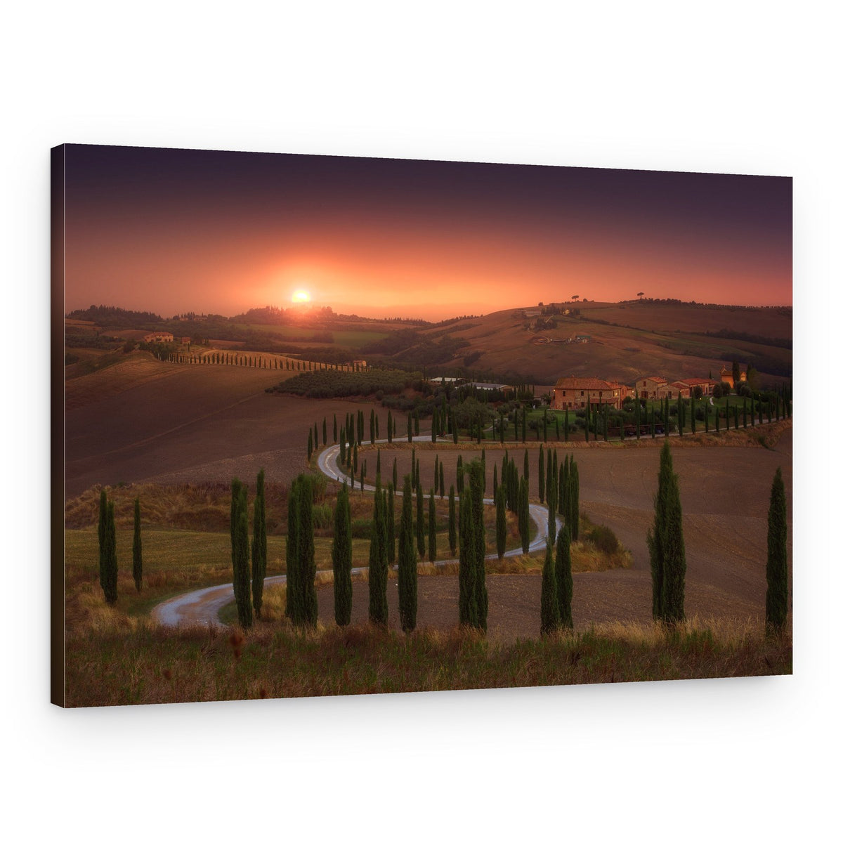 Golden Hour Tuscan Road – Canvas Print