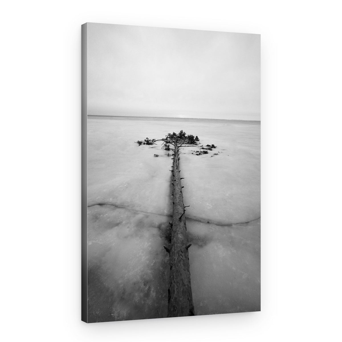 Solitary Tree Frozen Lake – Canvas Print