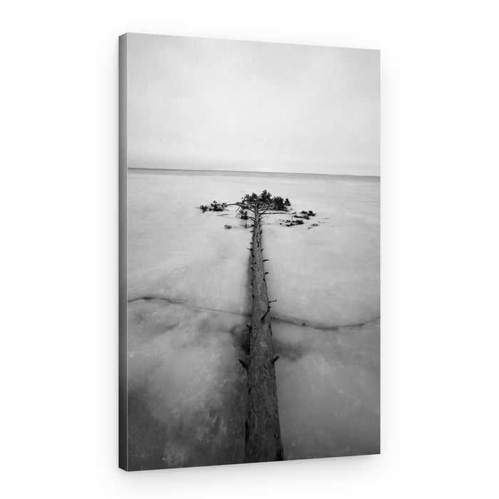 Solitary Tree Frozen Lake – Canvas Print