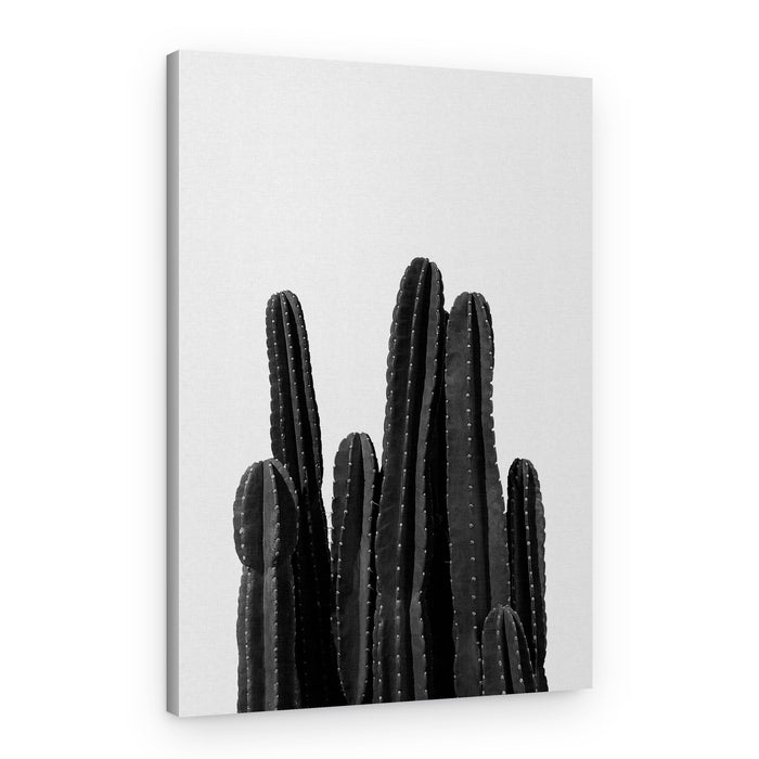Minimalist Cacti – Canvas Print