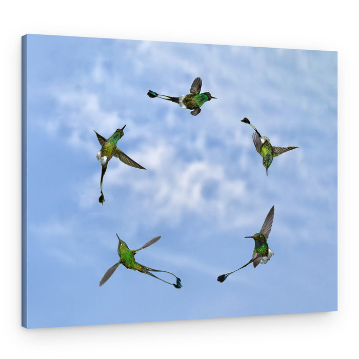 Emerald Hummingbirds Soaring – Canvas Print