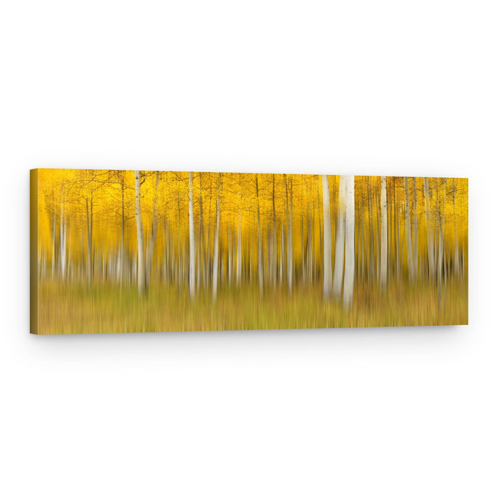 Golden Aspen Impression – Canvas Print