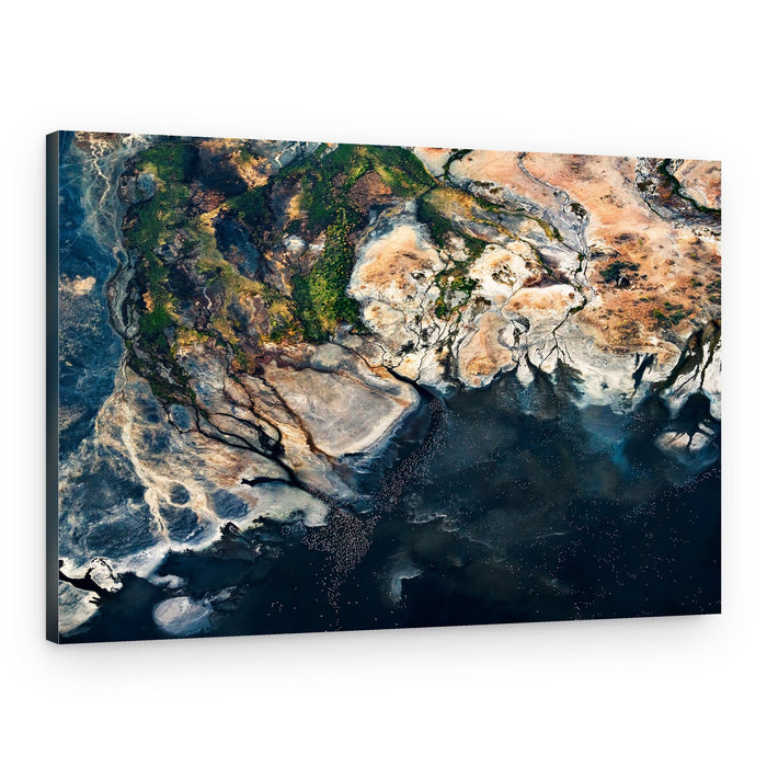 Aerial Wetland Birds – Canvas Print