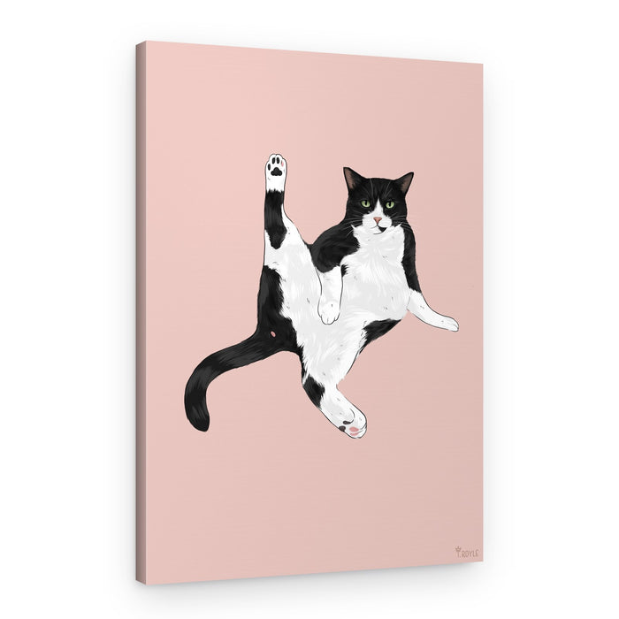 Funny Cat Stretch – Canvas Print