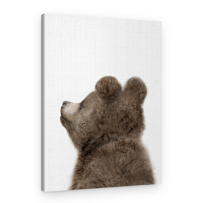 Baby Bear Looking Up – Canvas Print