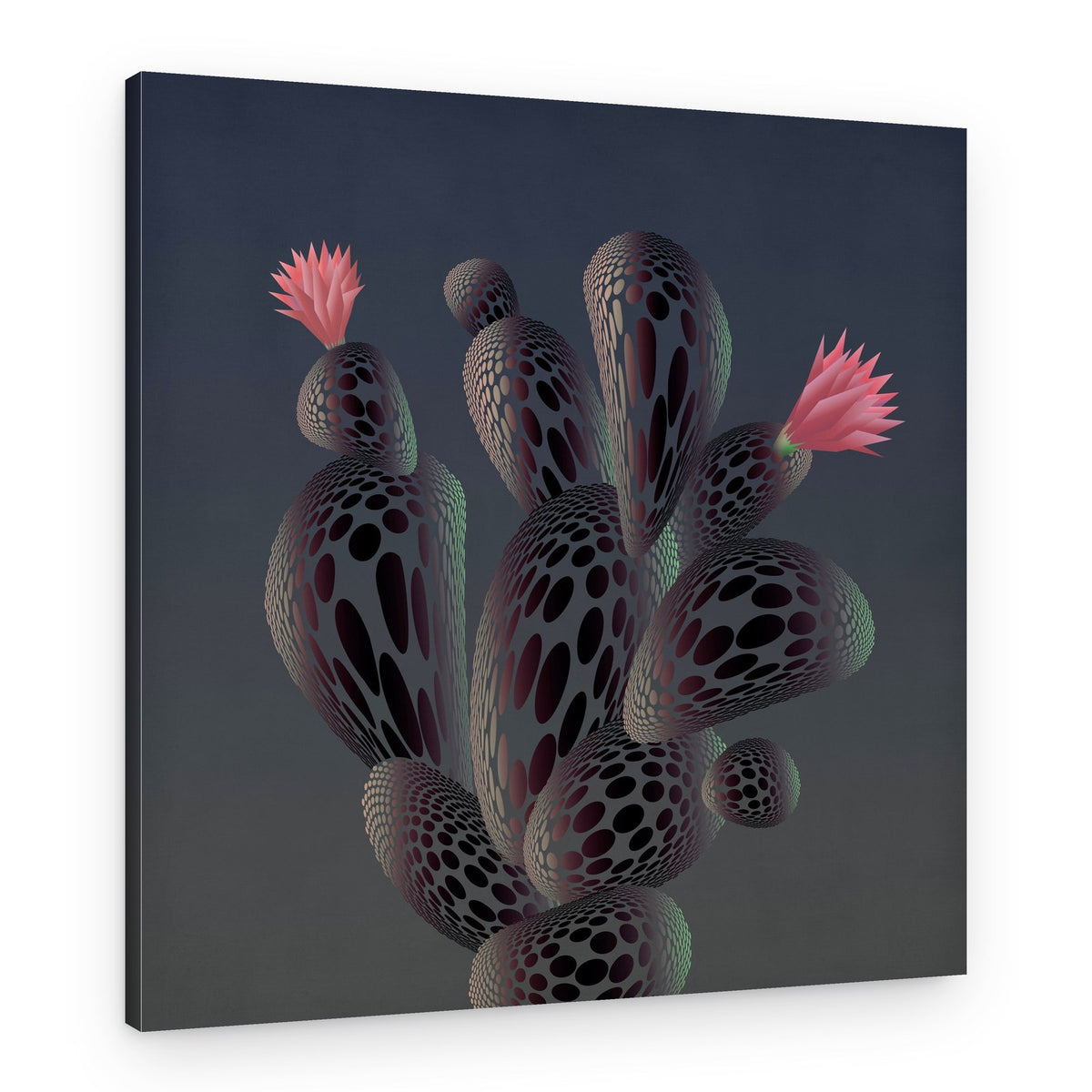 Pink Cactus Blooms – Canvas Print