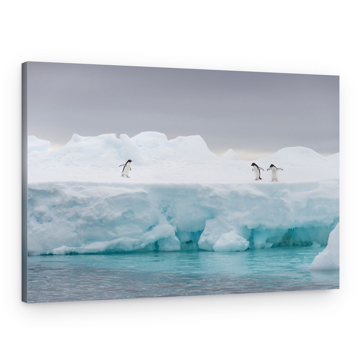 Penguins on Iceberg – Canvas Print