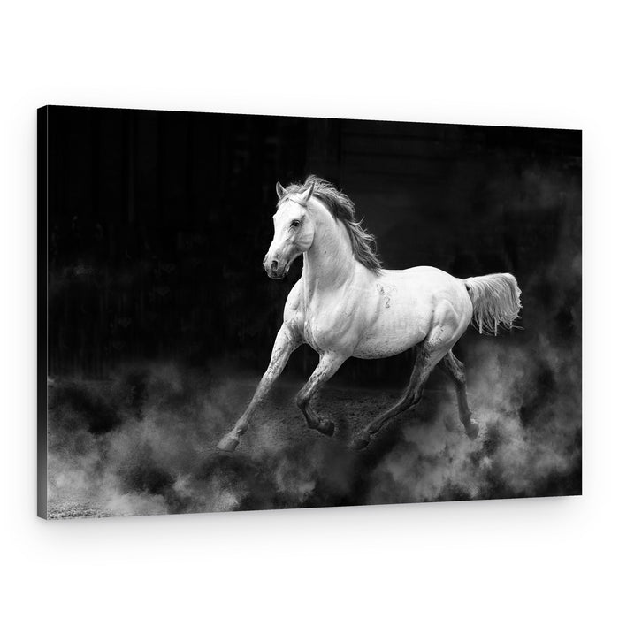 Spirited White Horse Galloping – Canvas Print