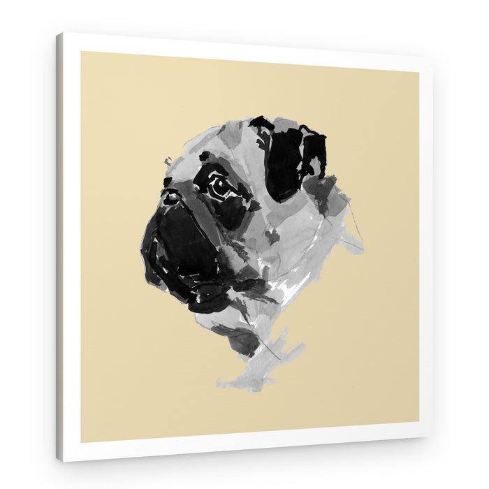 Charming Pug Portrait – Canvas Print