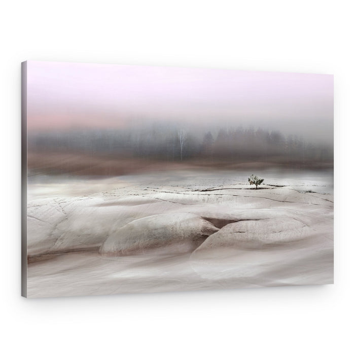 Solitary Winter Tree – Canvas Print