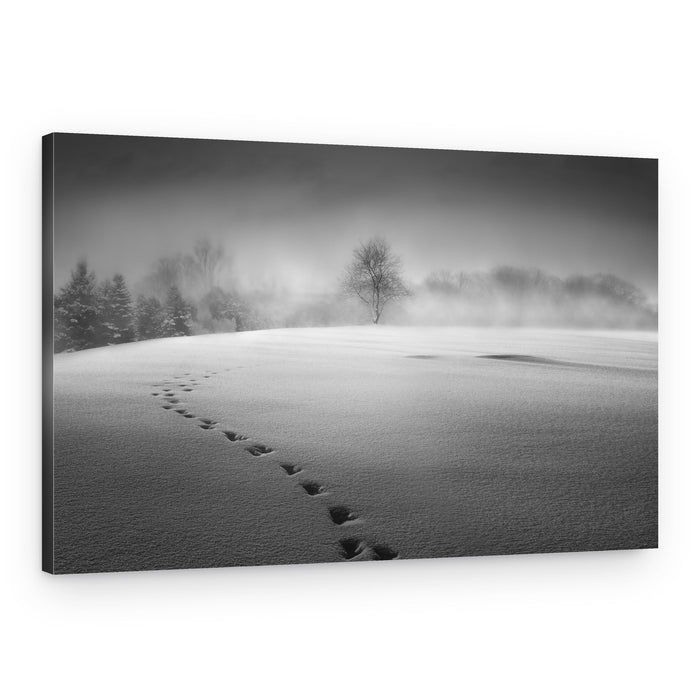 Quiet Winter Footprints – Canvas Print