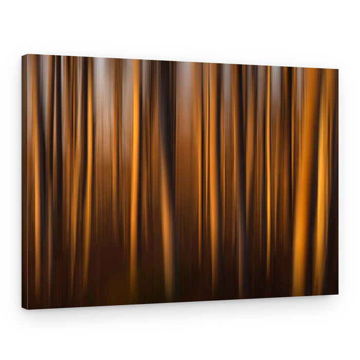 Golden Forest Glow – Canvas Print