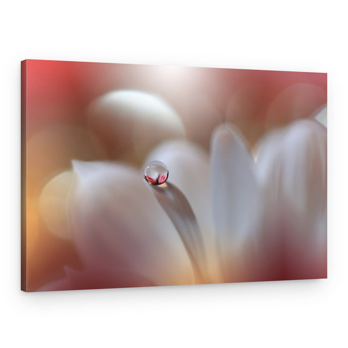 Ethereal Petal Drop – Canvas Print
