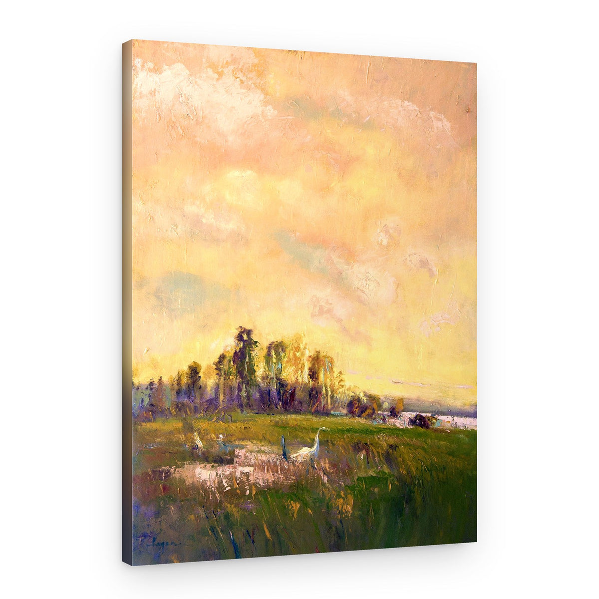 Sunlit Meadowscape – Canvas Print