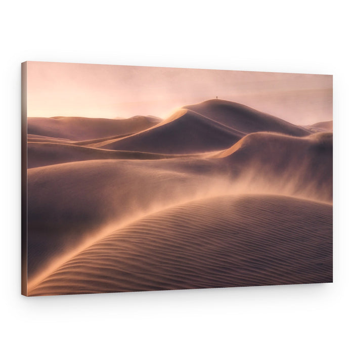 Golden Desert Solitude – Canvas Print