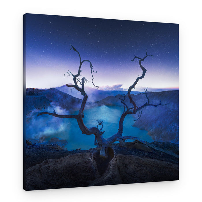 Starry Crater Lake Tree – Canvas Print