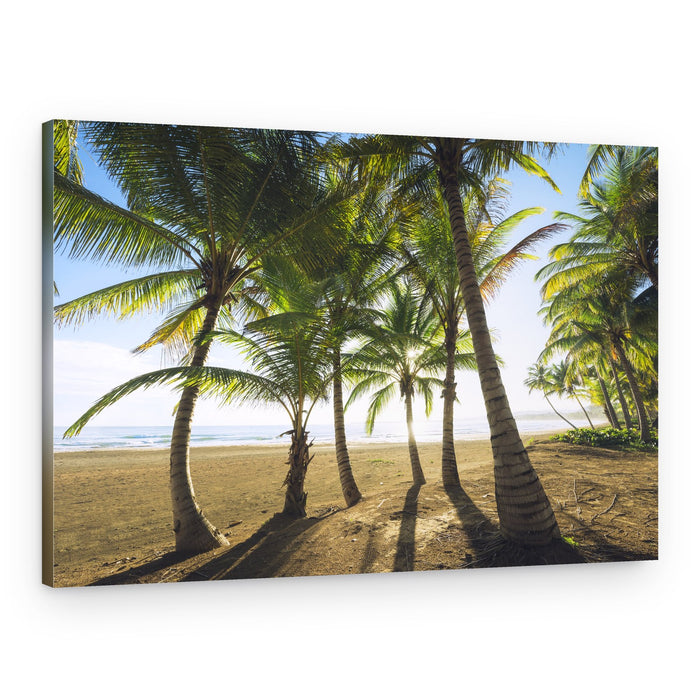 Tropical Morning – Canvas Print