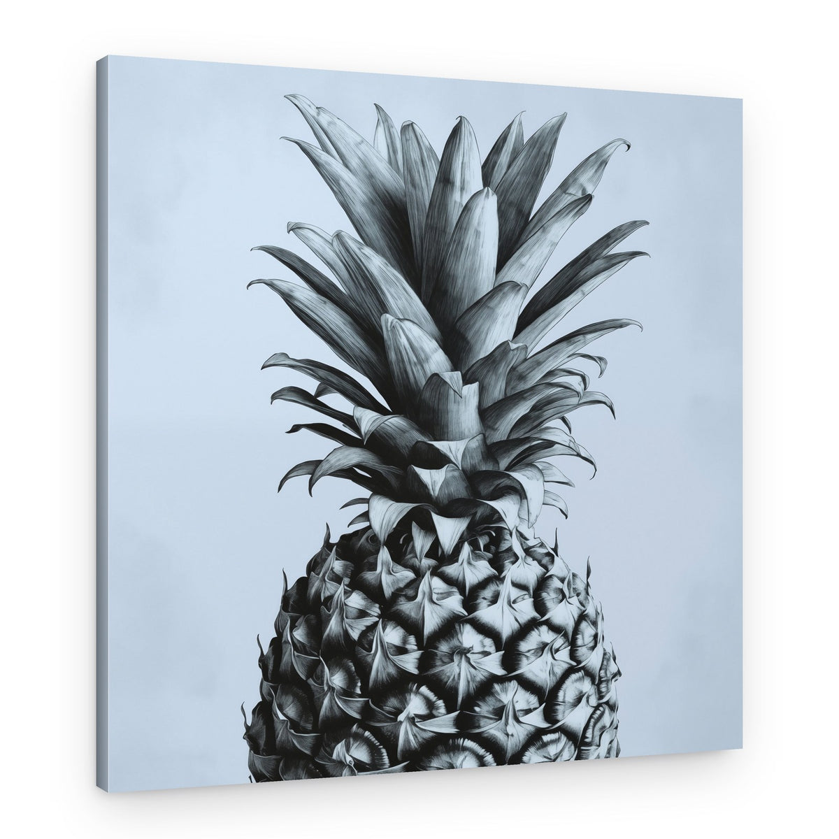 Detailed Pineapple Drawing – Canvas Print