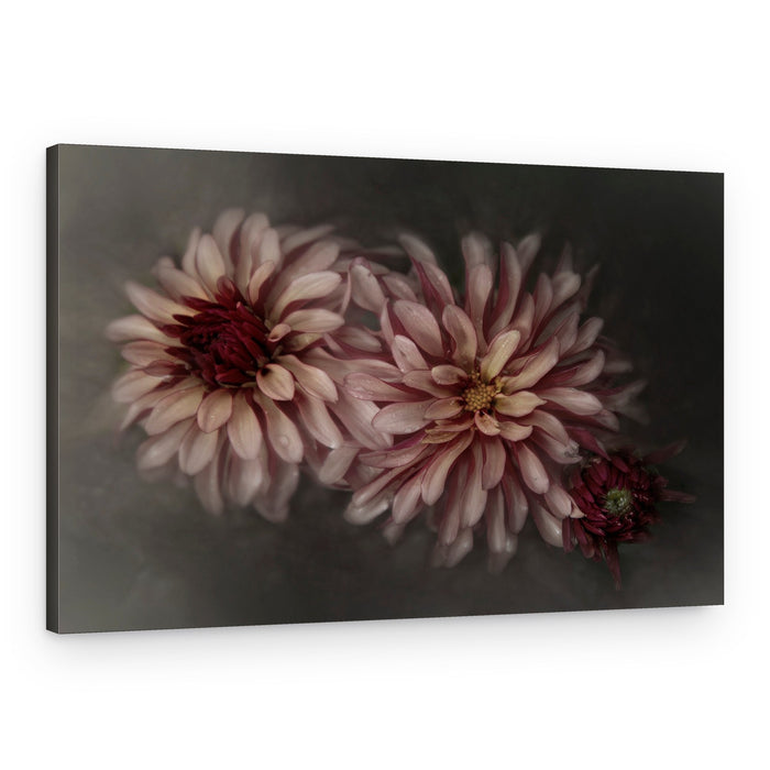 Romantic Dahlia Still Life – Canvas Print