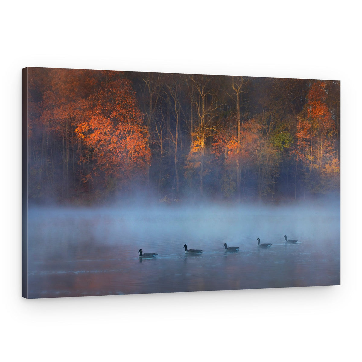 Autumn Mist Geese – Canvas Print