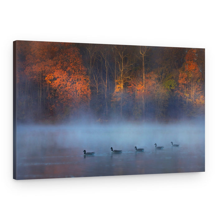 Autumn Mist Geese – Canvas Print