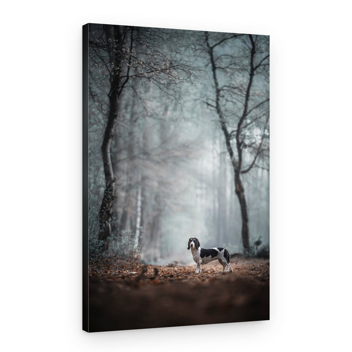 Dog In Misty Forest – Canvas Print