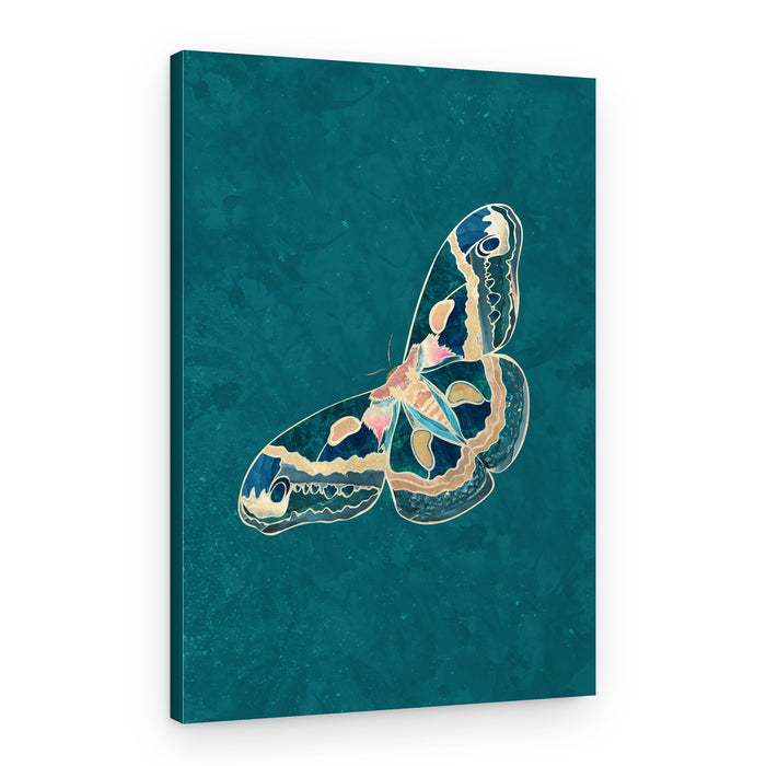 Ornate Teal Butterfly – Canvas Print