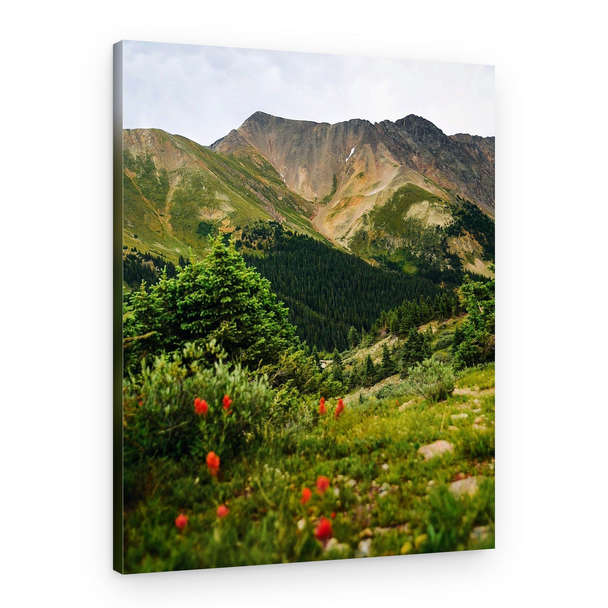 Lush Mountain Wildflowers – Canvas Print
