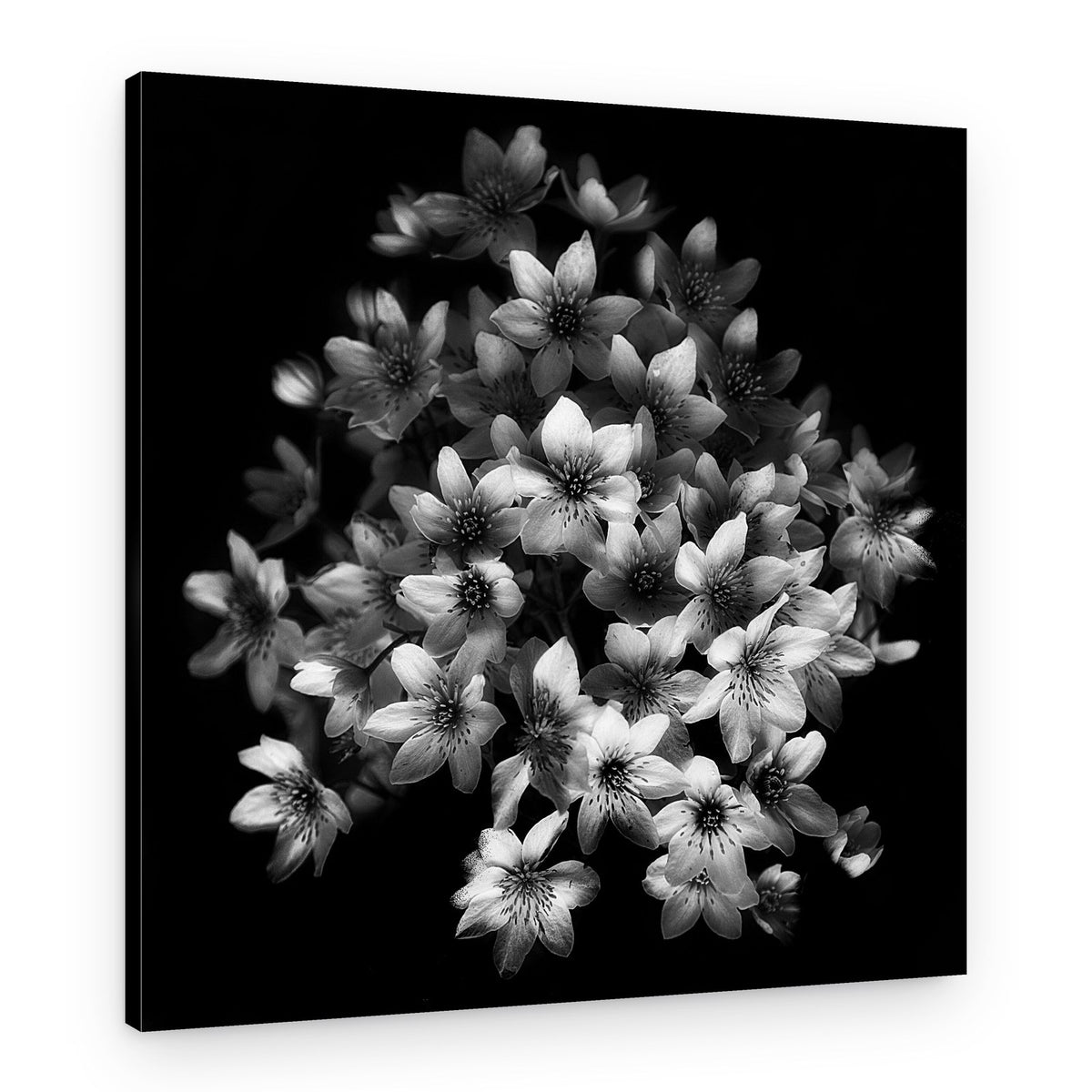 Graceful Floral Cluster – Canvas Print
